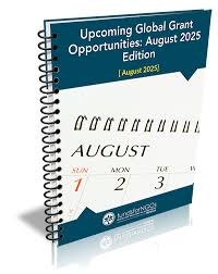 Understanding & Influencing Humanitarian Decision‑Making